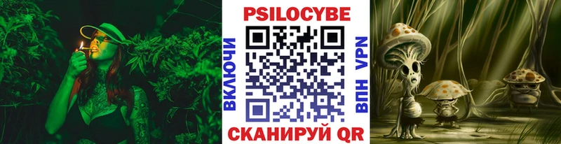 Галлюциногенные грибы Psilocybine cubensis  Отрадный 
